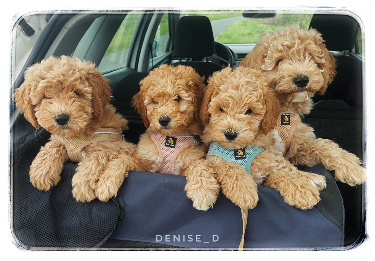 Juri und Schwestern aus Rheda-Wiedenbrück